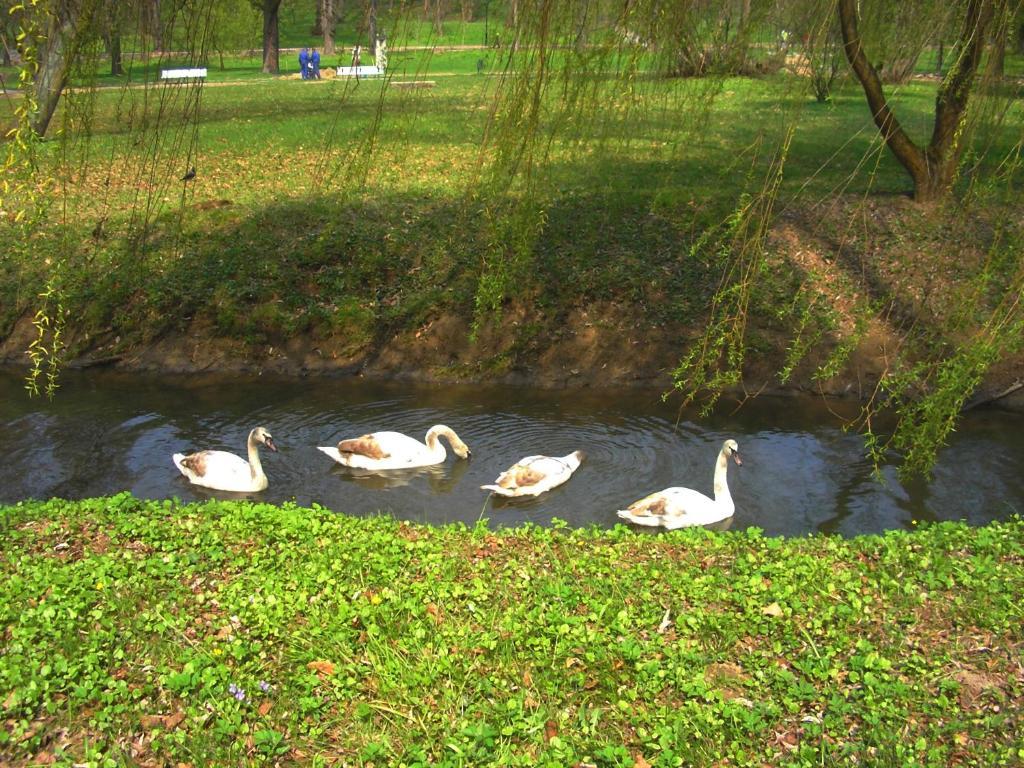 Przepioreczka 3* Nałęczów